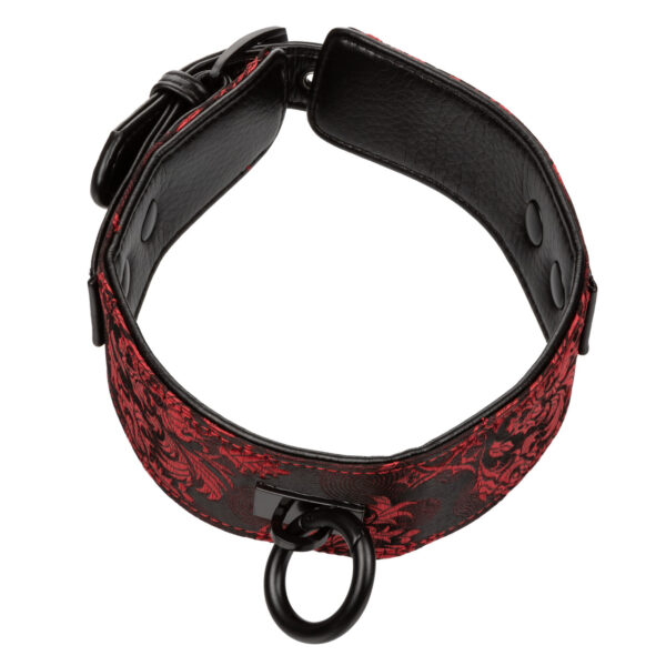 Scandal® Collar with Leash - Image 3