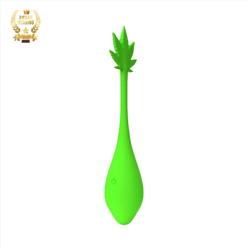 Sexy Pot Remote Egg Vibrator with Remote Control - Image 2