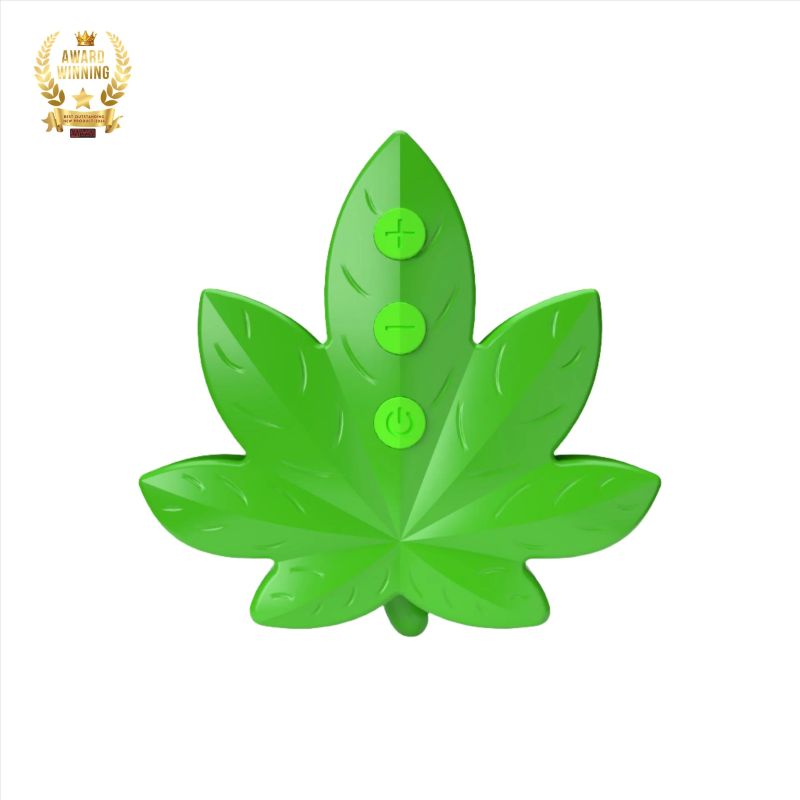 Sexy Pot Remote Egg Vibrator with Remote Control - Image 3